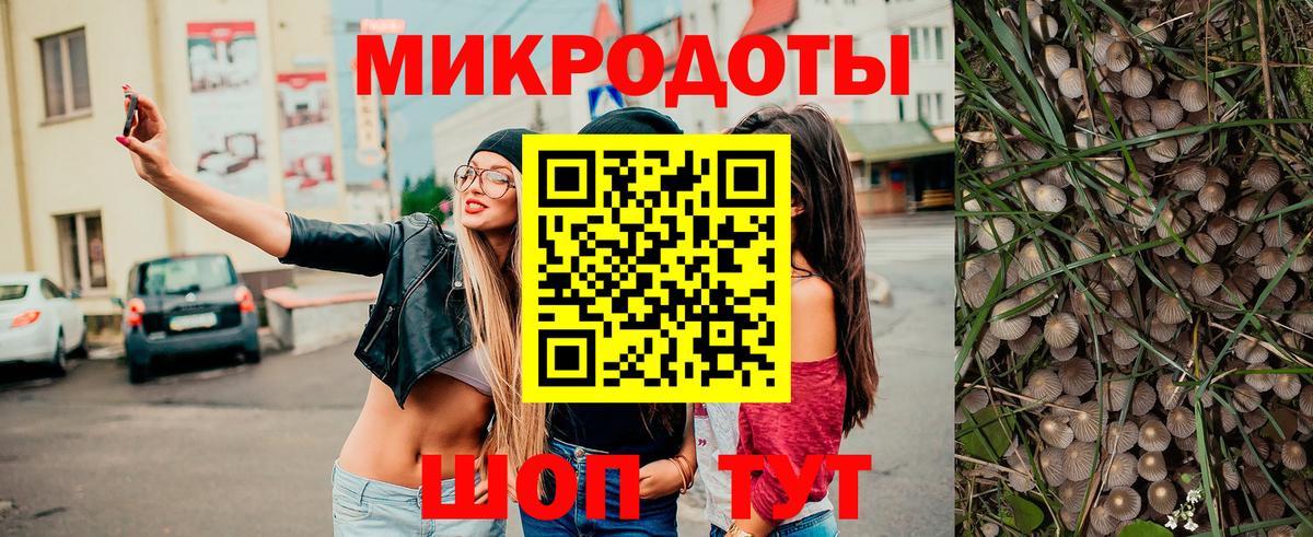Тулун  Галлюциногенные грибы Psilocybine cubensis  Вход с VPN  Псилоцибиновые грибы прущие грибы 